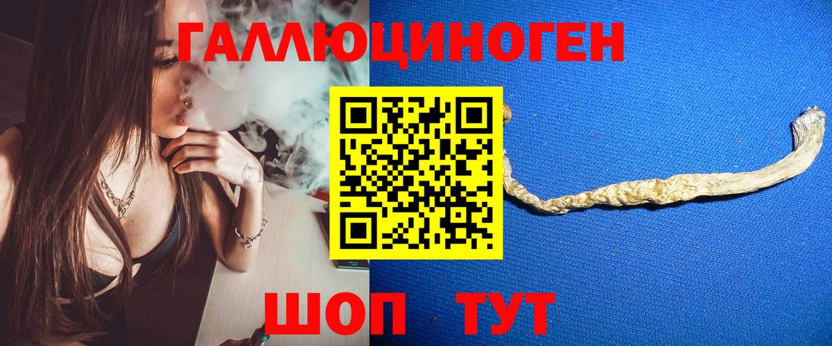 Зеленогорск  Псилоцибиновые грибы ЛСД  Вход с VPN 