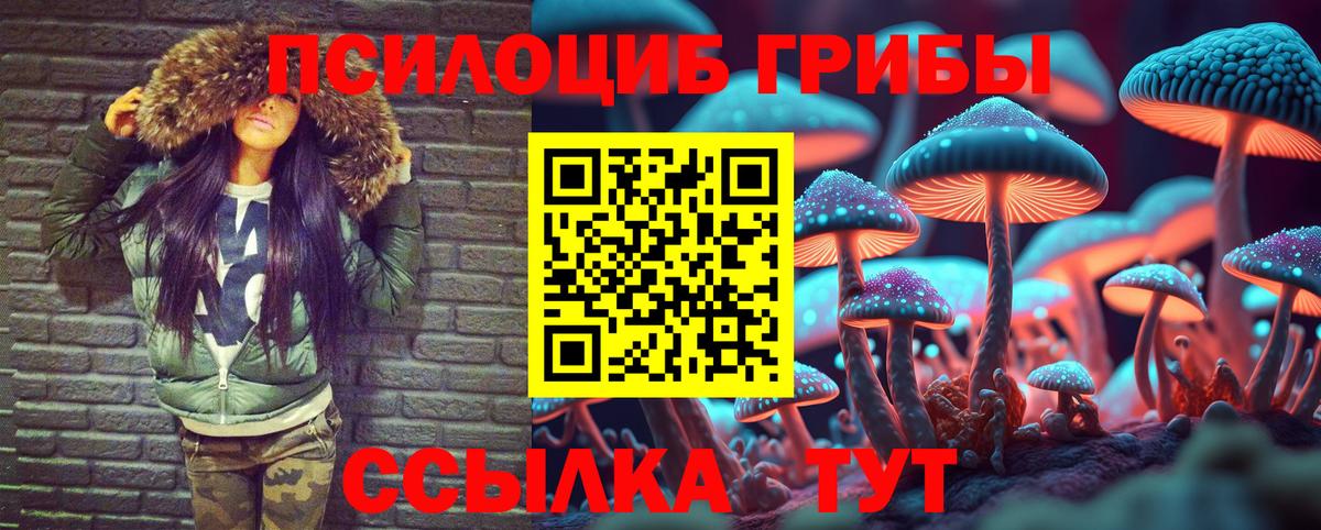 Галлюциногенные грибы прущие грибы Зеленогорск
